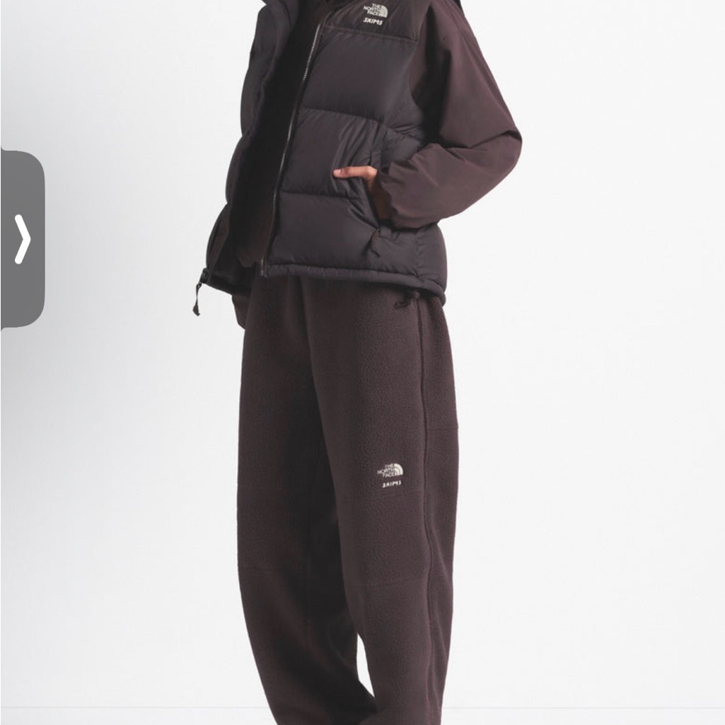 The North Face Skims Puffer Vest